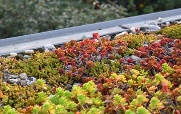 the cost of Woodhurst green roof installation