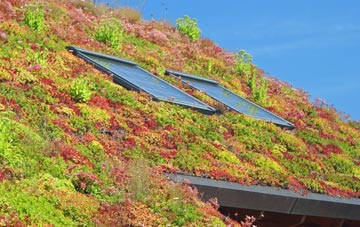Woodhurst living roof systems