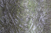 Woodhurst fibreglass roof work